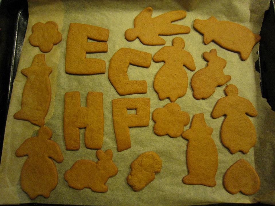 382091_4633529470089_362076216_n