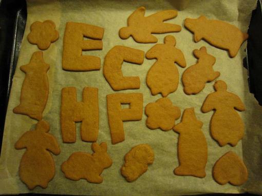 382091_4633529470089_362076216_n