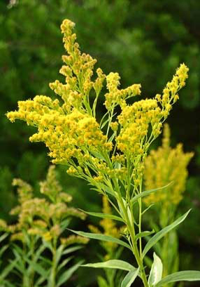 59365814-E805-4E74-BA8E-162259DD430F